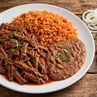 Birria Plate 